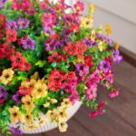 Artificial Flowers for Outdoor Indoor Garden Home Decoration, Faux Flower Daisy with Eucalyptus Leaves Fake Plants Greenery Boxwood Porch Patio, 12 Bundles - Image 2