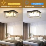 Farmhouse Ceiling Light, 12.6” Square Light Fixtures Ceiling Mount Black and Gold Hallway Light Fixtures, Flush Mount Ceiling Lights for Living Dining Room Bedroom, 4 * G9 Base - Image 5